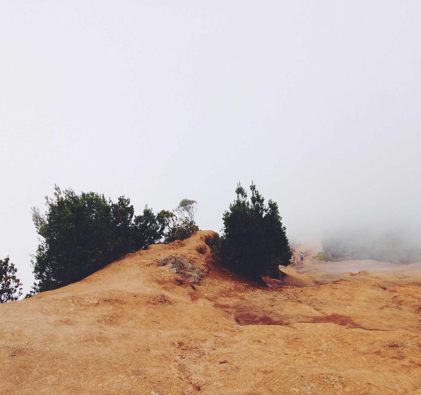 亿速云实名账号：全本免费快读小说app详情下载教程