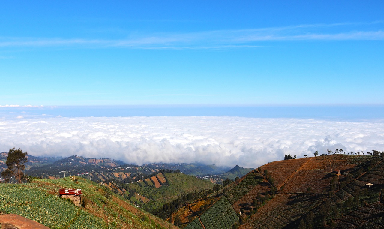 物联网卡买卖:钻卡购买平台