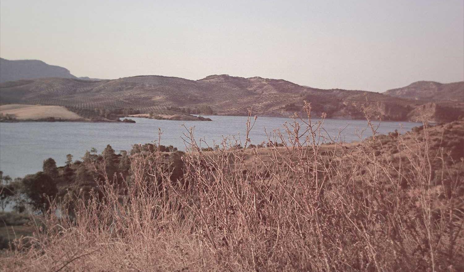 会员代理拿货平台利润