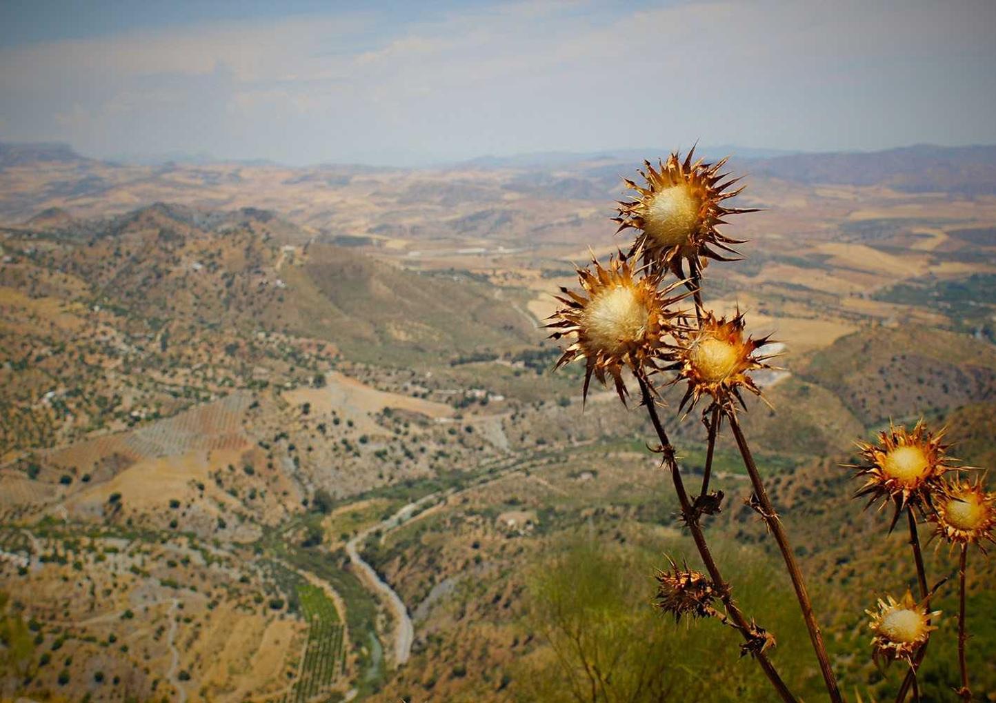 太保e卡实名账号：滨江区注册商标代理人