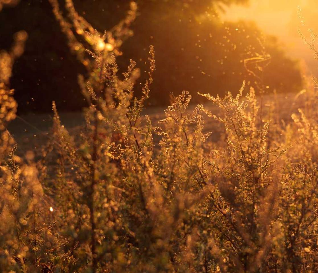 DDOS attack|什么平台可以存钱网上开户