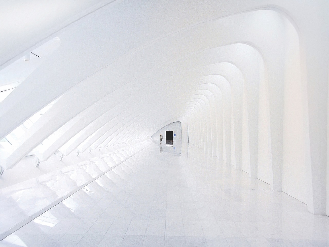 小鸟云实名账号：详情下载教程备用金详情下载教程APP