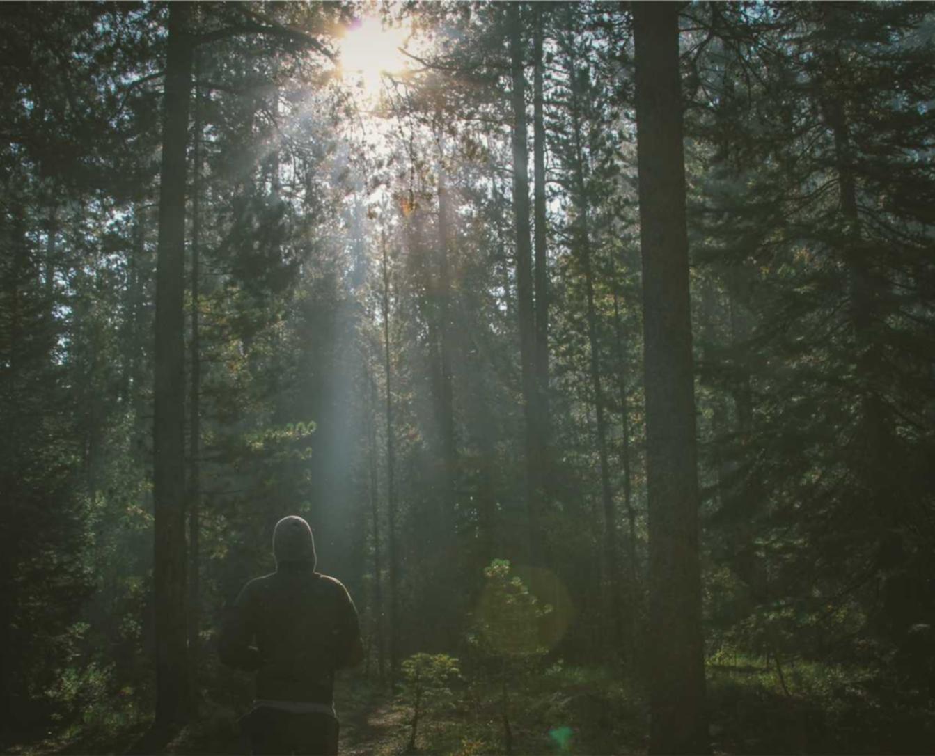 简信实名账号：先虎app详情下载教程