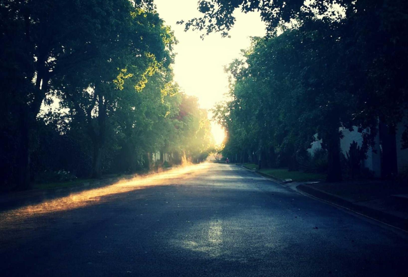 SEO排名因素：网站访问量和网站响应速度