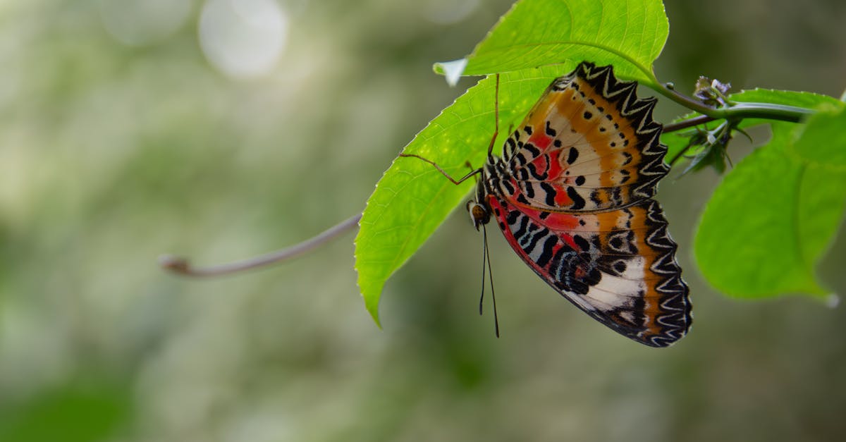 提高服务器安全性,守护您的网站和数据安全!