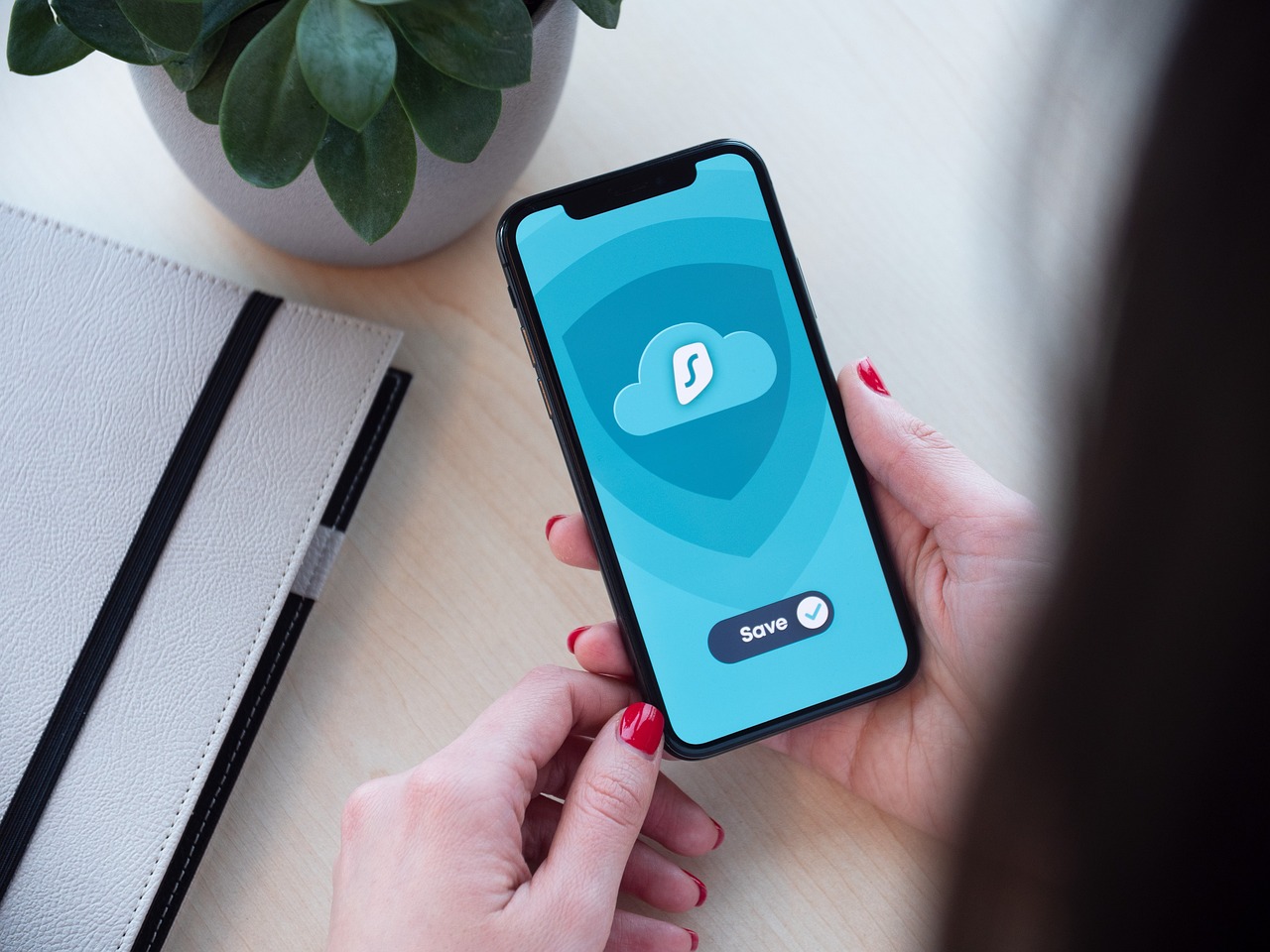 云烟百味人生:蛏子哪个平台购买的