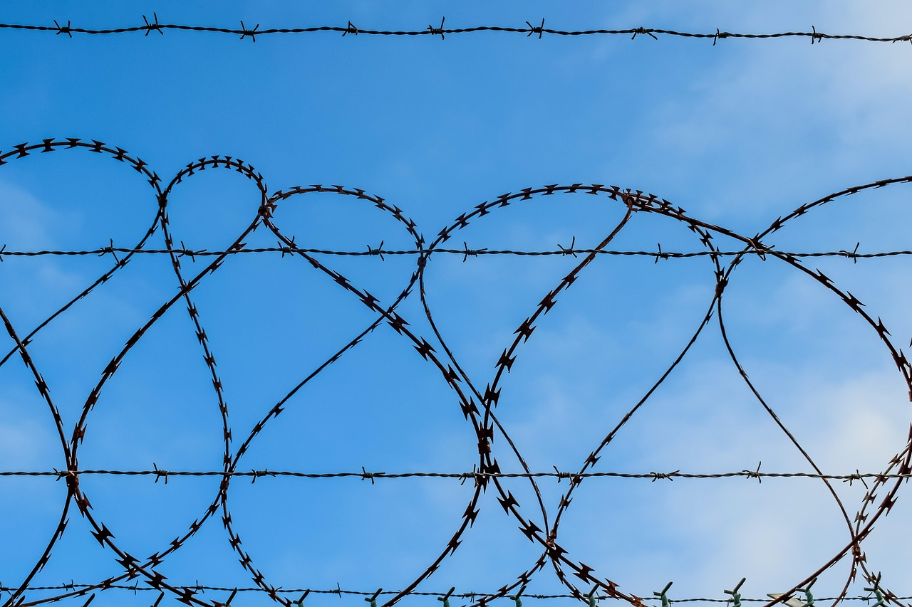 苍空物语：中山运动平台代理