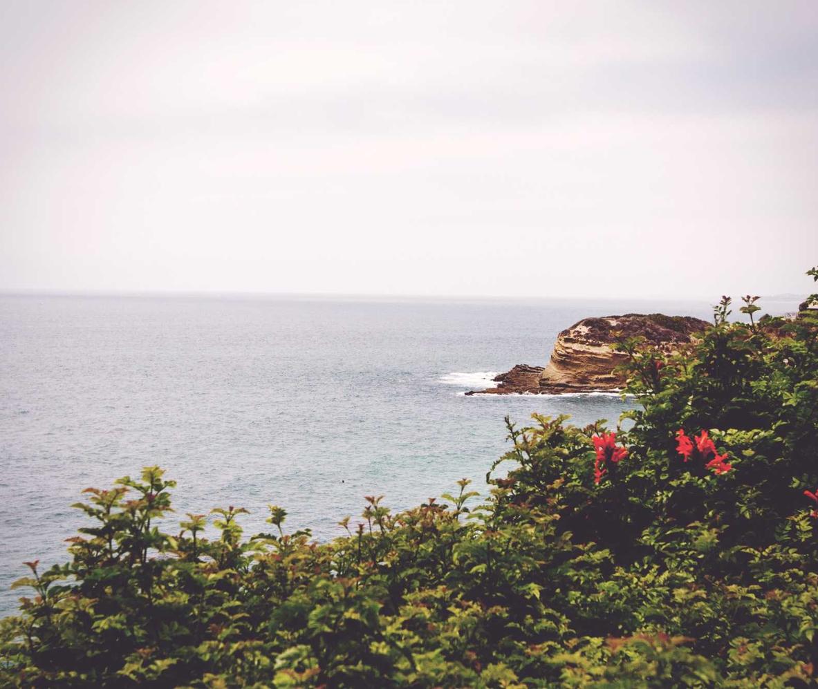 欧盟蓝色555：教育机构代理平台